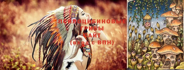 тгк Аркадак