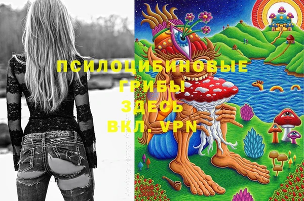 гидропоника Арсеньев
